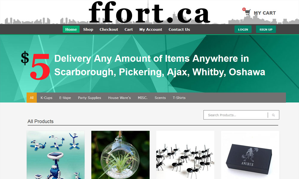 ecommerce Website Design Company Winnipeg